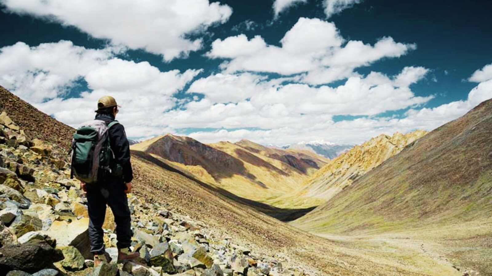 trekking in Ladakh