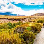 Trekking in New Zealand