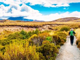 Trekking in New Zealand