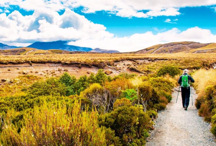 Trekking in New Zealand