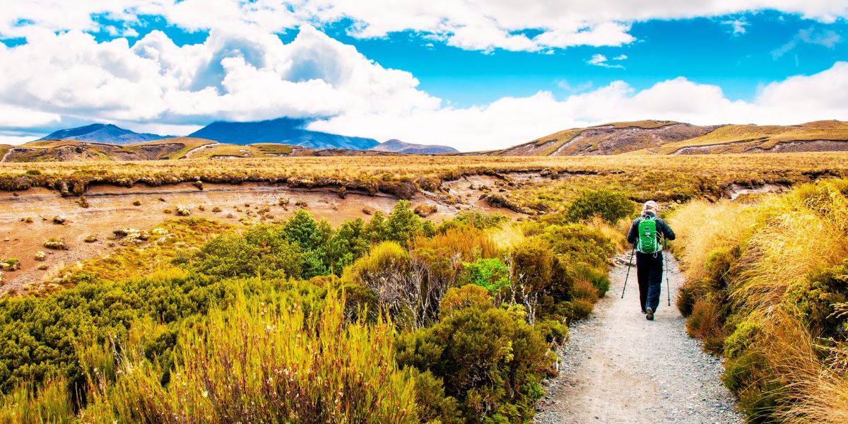 Trekking in New Zealand