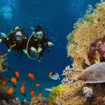 Scuba Diving Destinations