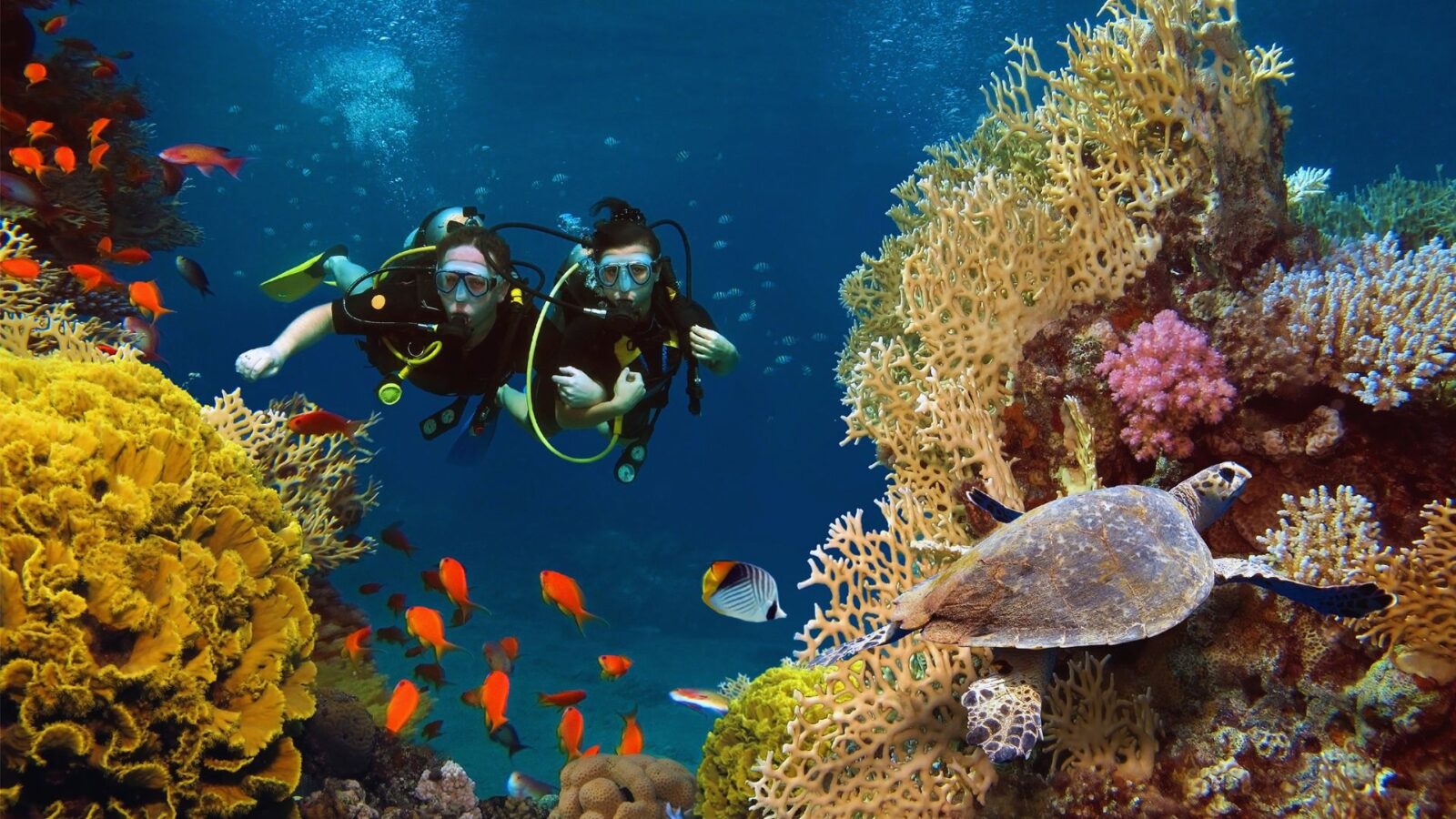 Scuba Diving Destinations