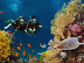 Scuba Diving Destinations