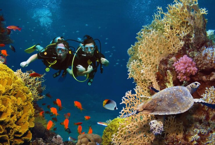 Scuba Diving Destinations