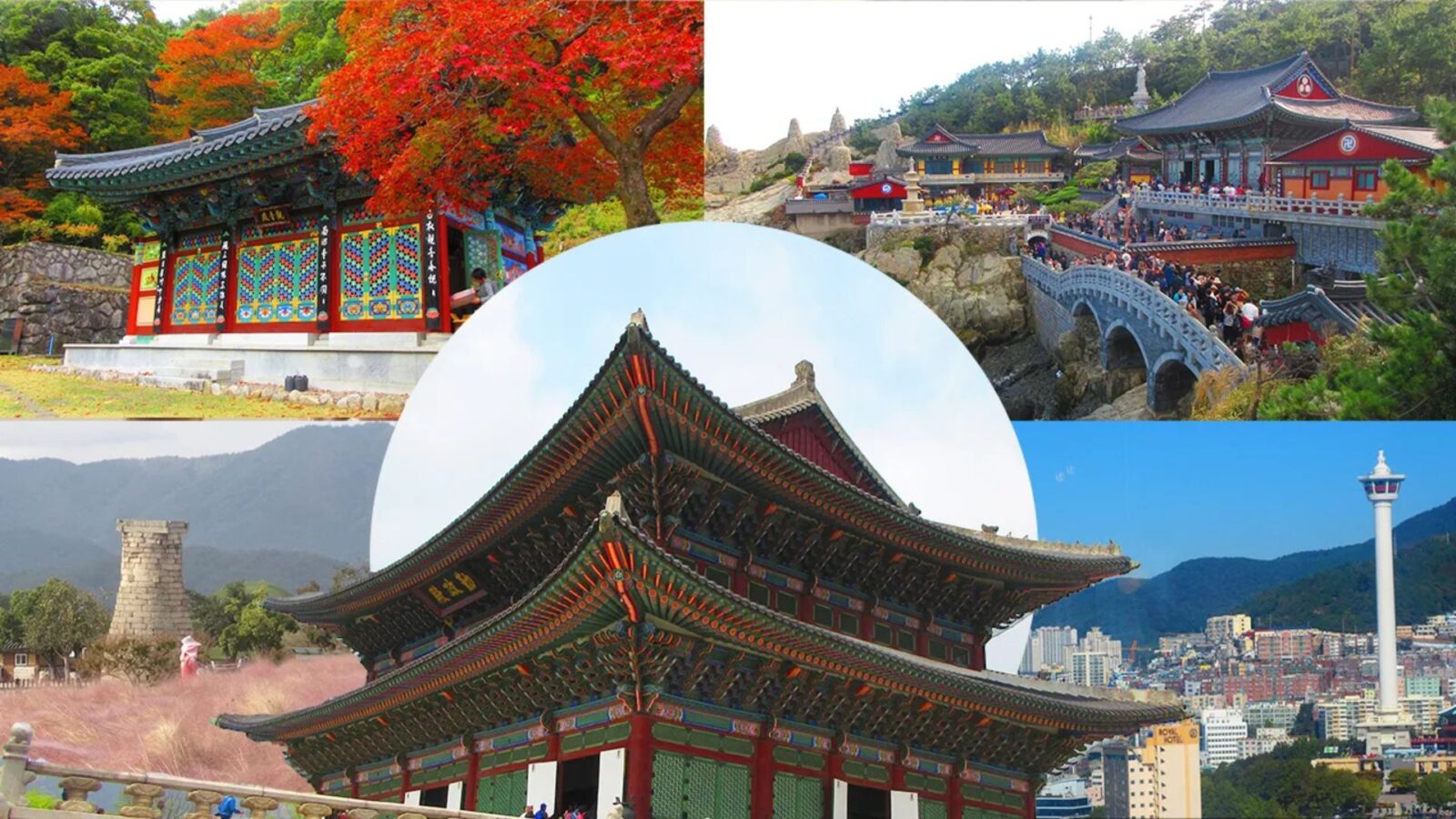 Top Activities to Do in South Korea