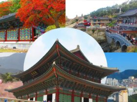 Top Activities to Do in South Korea