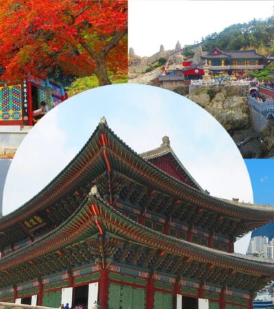 Top Activities to Do in South Korea