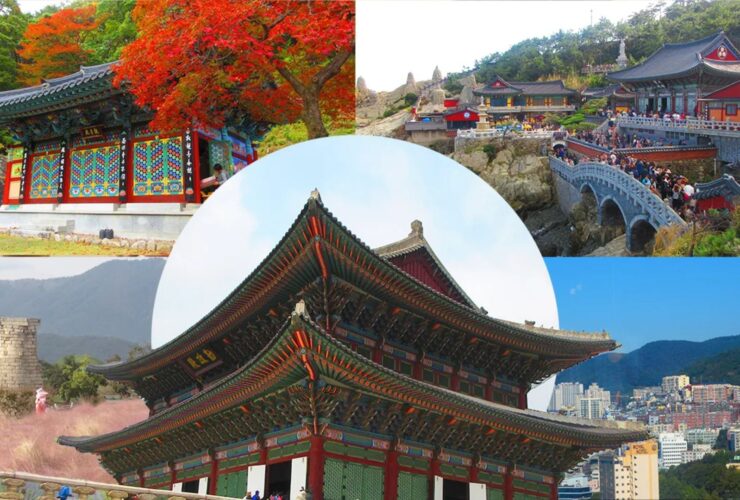 Top Activities to Do in South Korea