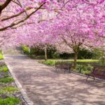 Best Places to Visit in Spring Season