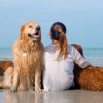 Dog-Friendly Vacation Locations