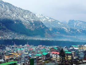 Travelling to Manali